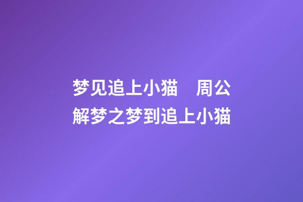 梦见追上小猫　周公解梦之梦到追上小猫